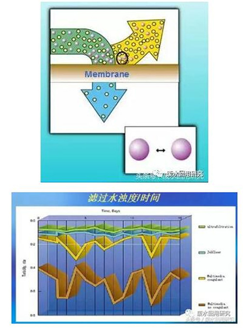 颗粒