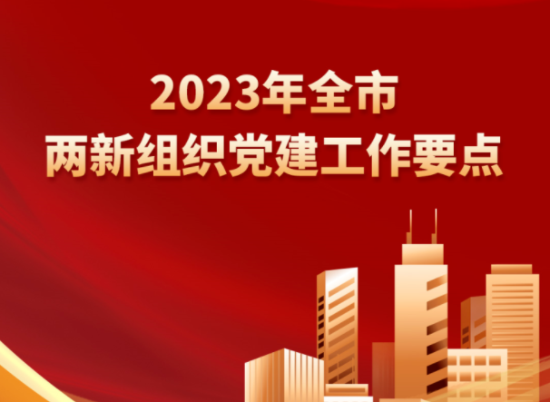 徐州《 2023年全市两新组织党建工作要点 》